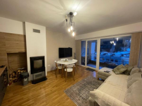 Bjelašnica mountain view apartment